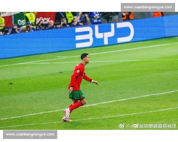 绿茵狂飙：冷门重塑世界杯格局