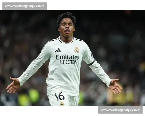 恩德里克冲刺复出 皇马 9 号之争白热化